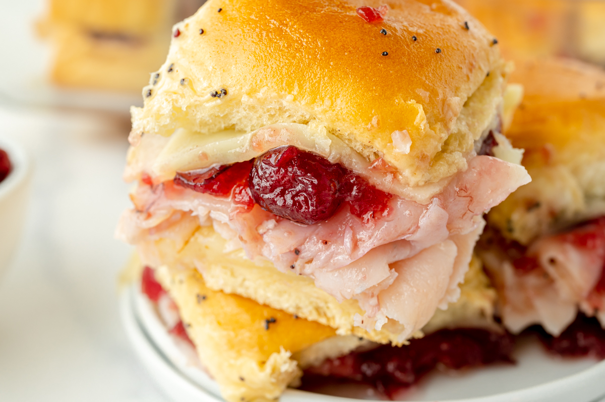 close up angled shot of turkey cranberry slider