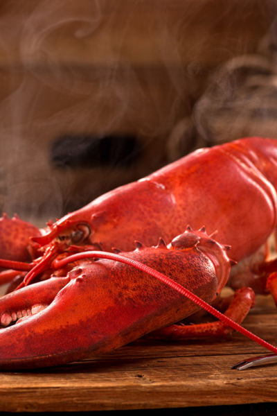 head-on image of whole steamed lobster on a wood board with steam coming off ot it