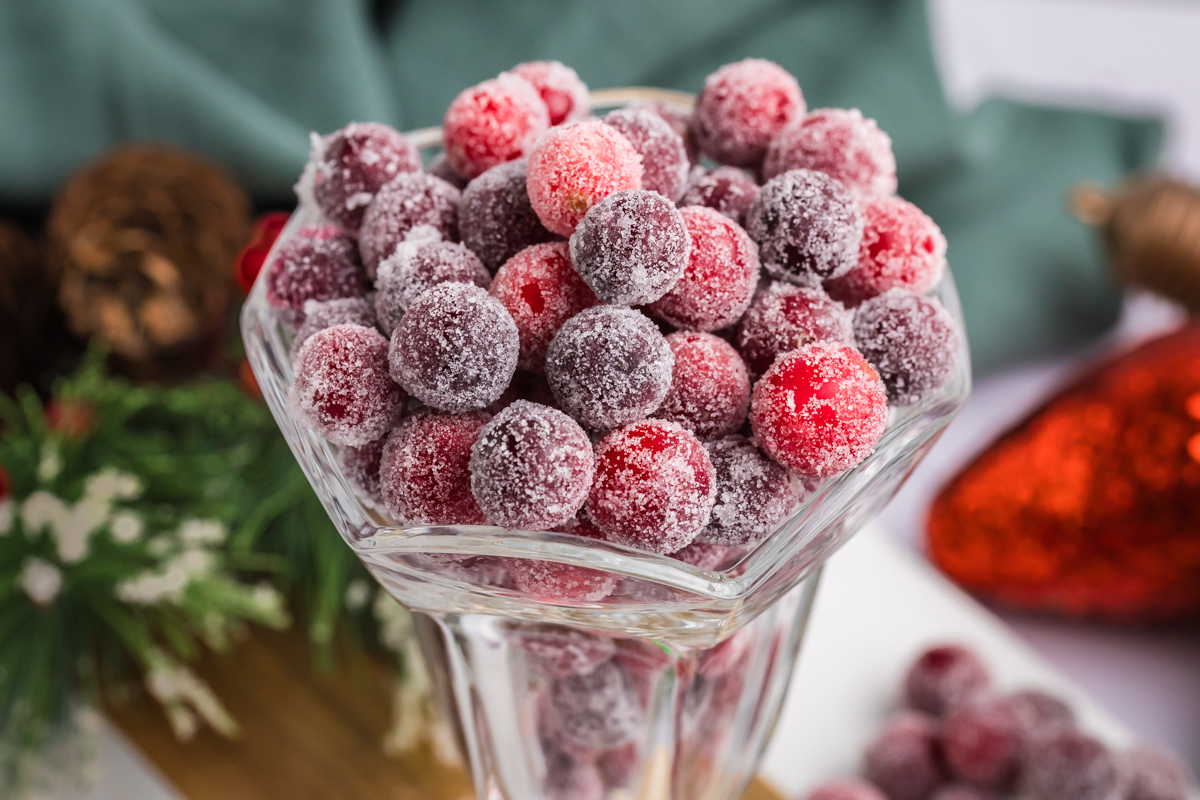 close up angled shot of dish of sugared cranberries