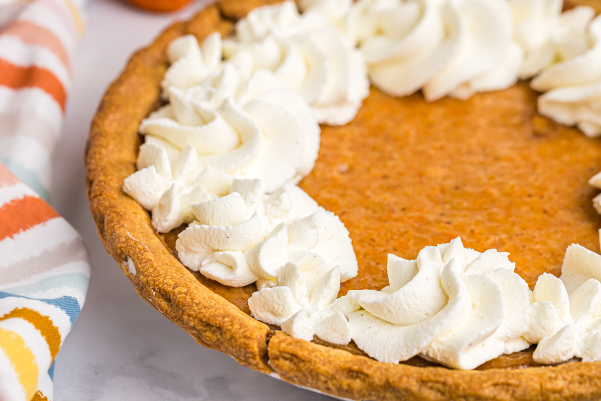 close up shot of whipped cream on sweet potato pie