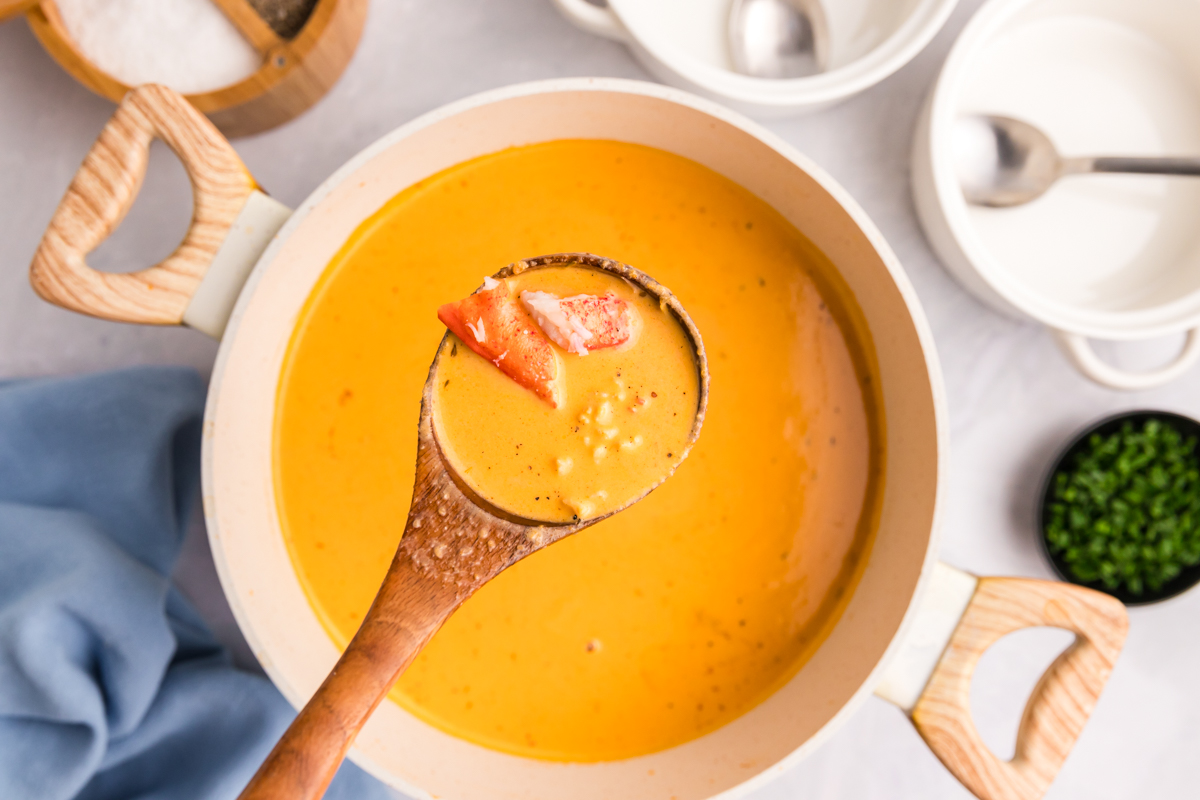 overhead shot of ladle in pot of soup