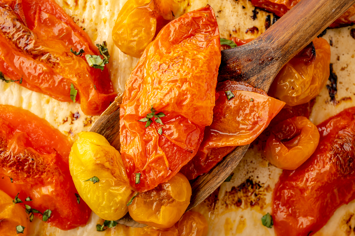 overhead shot of roasted tomatoes on wooden spoon