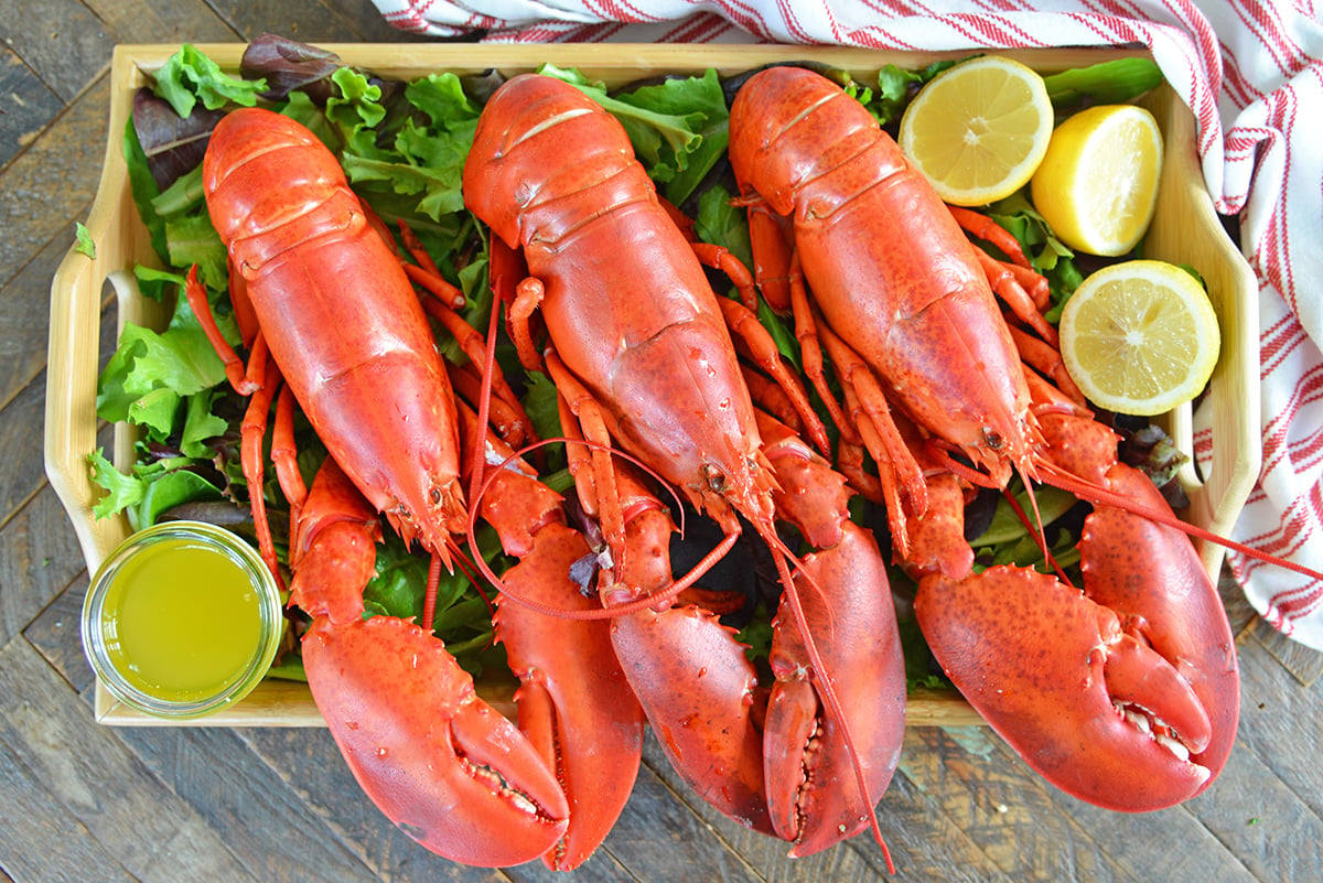 overhead shot of three steamed lobsters on tray