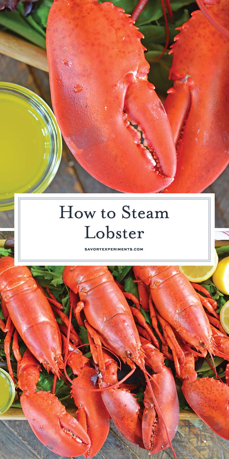 collage of how to steam lobster