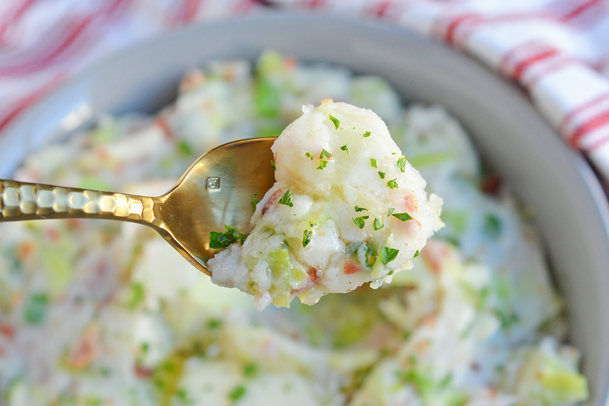 Gold spoon with irish colcannon