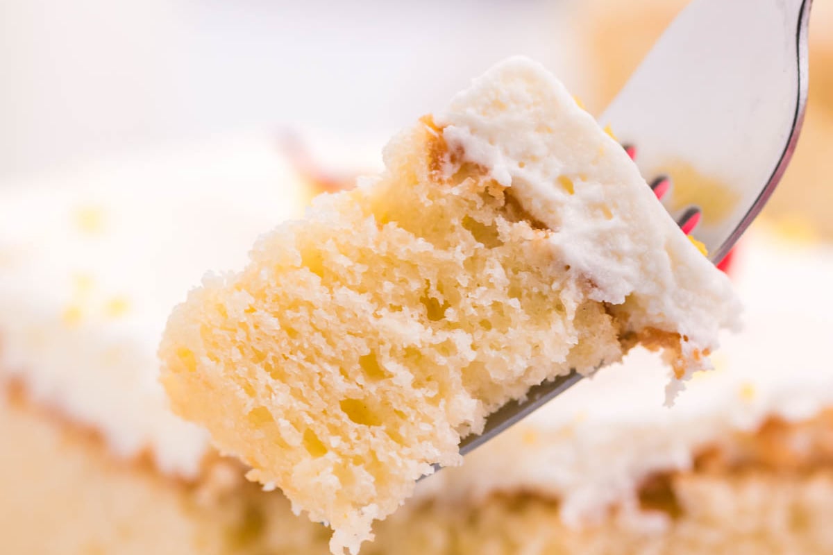 close up shot of bite of cake on fork