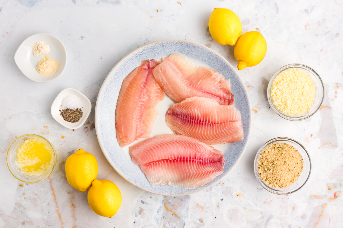 overhead shot of parmesan crusted tilapia ingredients