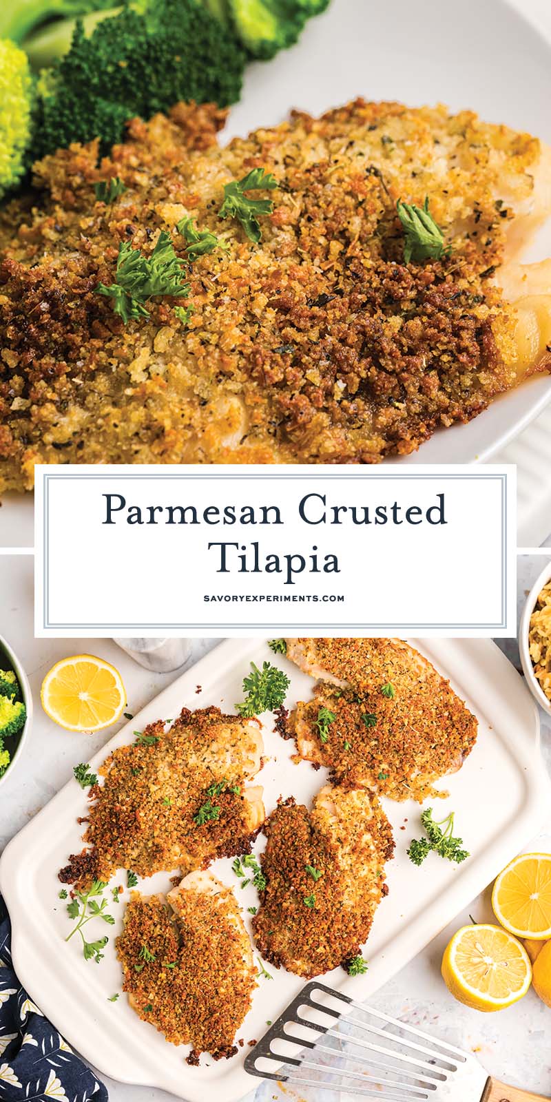 collage of parmesan crusted tilapia